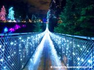 冬のバンクーバーの定番！ キャピラノ吊り橋ライトアップ＆夜景ディナー